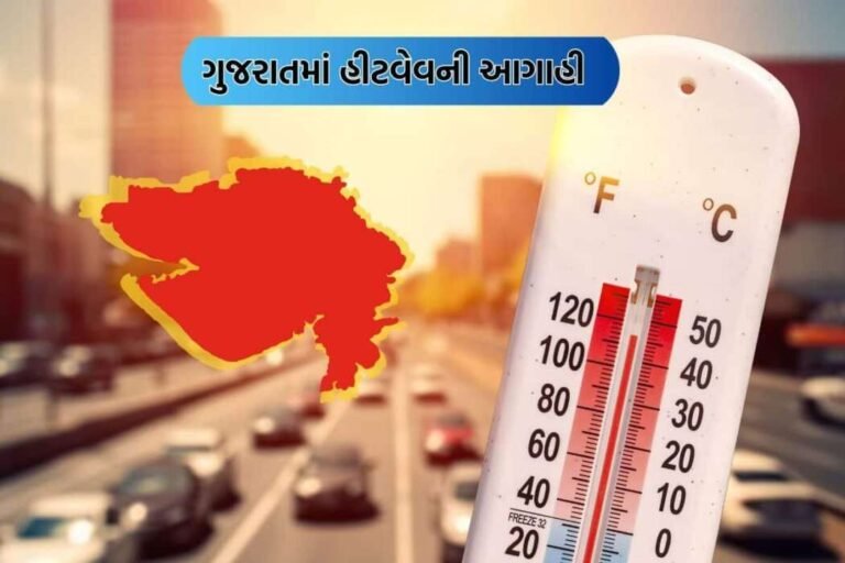 Gujarat Local Body Election 2026: ગરમી વધે તે પહેલાં મતદાન, આકરા તાપથી બચવા મતદારો સવારથી જ મતદાન કેન્દ્રો પર ઉમટ્યા