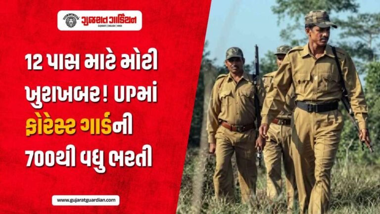 યુપીમાં ફોરેસ્ટ ગાર્ડની 700થી વધુ જગ્યાઓ પર ભરતી, 12 પાસ ઉમેદવારો માટે સુવર્ણ તક