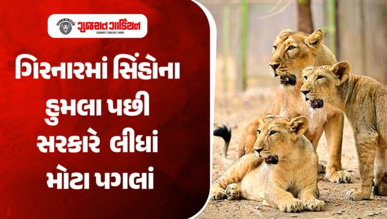 ગિરનારમાં બાળકના મોત બાદ સરકાર એક્શનમાં: લોકોની સુરક્ષા માટે લેવાયા આ મોટા પગલાં