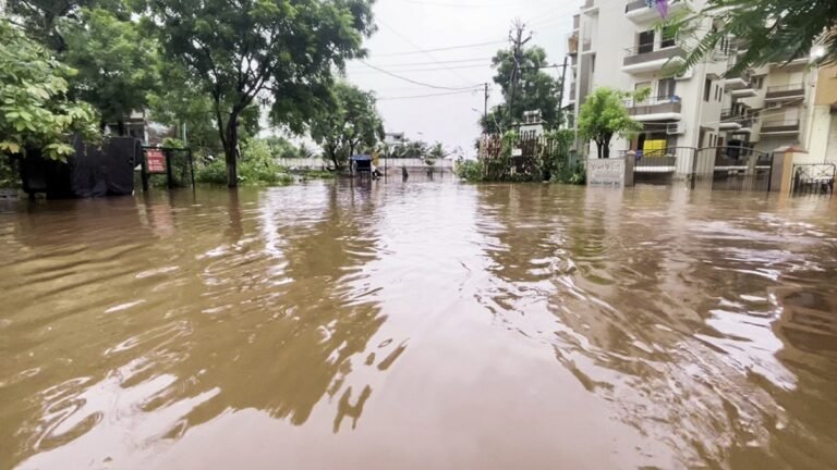 દક્ષિણ ગુજરાતમાં મેઘરાજાની ધમાકેદાર બેટિંગ: 4 જિલ્લામાં રેડ એલર્ટ, કપરાડામાં 16 ઇંચ વરસાદ