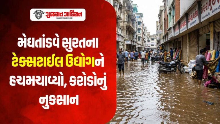 18 ઇંચ વરસાદે સુરતના ટેક્સટાઈલ ઉદ્યોગને કર્યો બેહાલ, ₹200 કરોડથી વધુનું નુકસાન