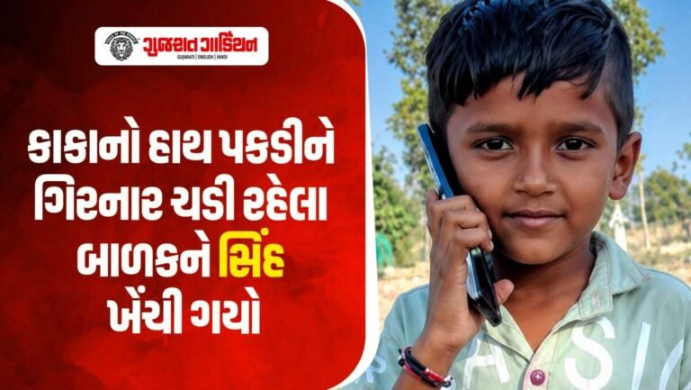 ગિરનાર ચઢતા 12 વર્ષના બાળકને સિંહ ખેંચી ગયો: જંગલમાંથી અવશેષો મળ્યા