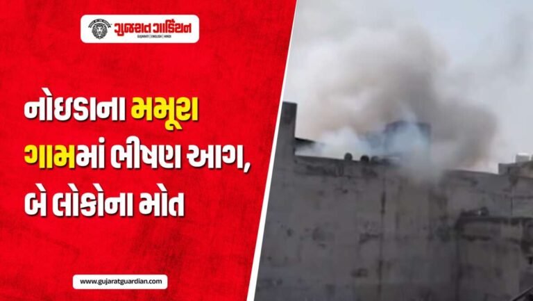 નોઇડાના મમૂરા ગામમાં ભીષણ આગ, બે લોકોના મોત; બચાવ કામગીરી યથાવત