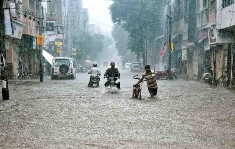 ગુજરાતમાં આગામી કલાકો અગત્યના! જાણો કયા 6 જિલ્લામાં રેડ એલર્ટ