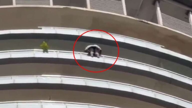 Video Noida Supernova Suicide: 43મા માળેથી કૂદી યુવકે કરી આત્મહત્યા; મૃત્યુ પહેલા કર્યો હતો વિડિયો રેકોર્ડ!